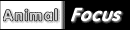 Animal Focus, tout sur les animaux comme animal de compagnie, dans l'exploitation, dans les zoos et aquarium, travaillant, et animaux sauvage dans la nature