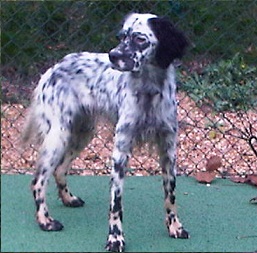 IMG00031-20101120-1557.jpg