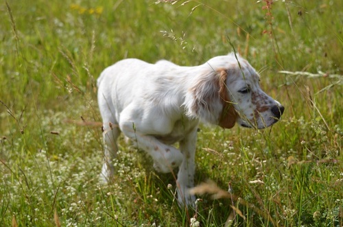 Jeff-dsc_0111.jpg