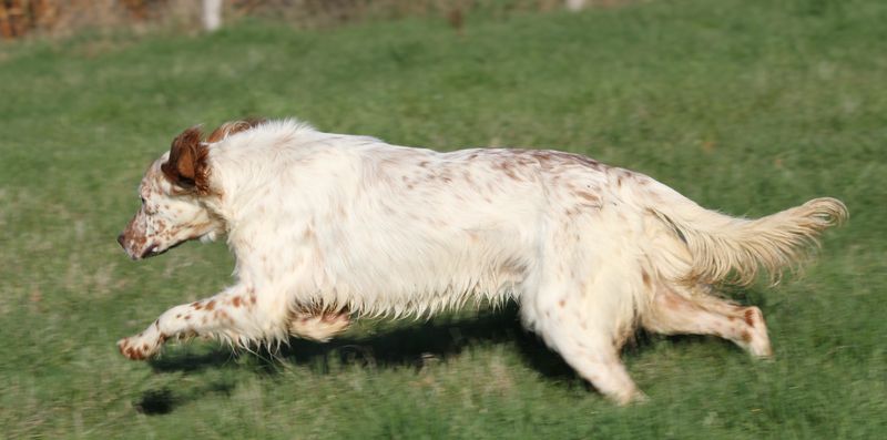 IMG_6416_resultat.jpg