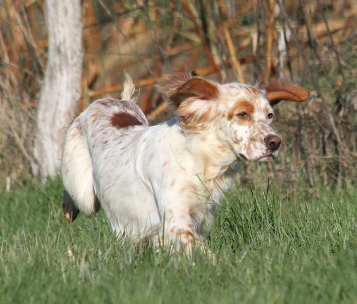 IMG_6419_resultat.jpg