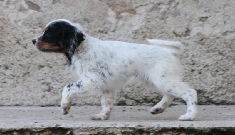 IMG_5229_resultat.jpg